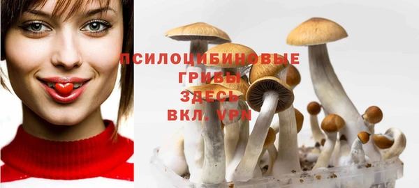 марки nbome Бородино