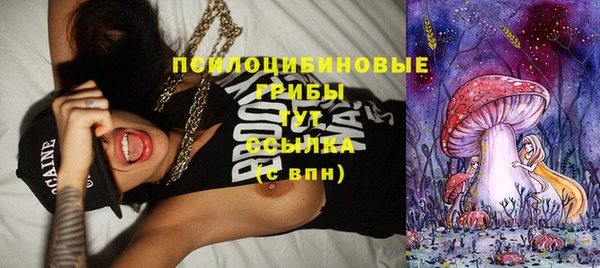 скорость Бронницы