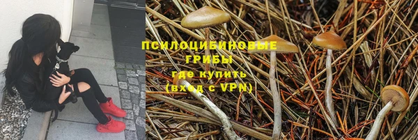 скорость Бронницы