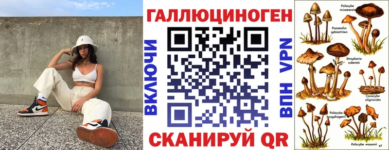 Галлюциногенные грибы Psilocybine cubensis  Бугуруслан 