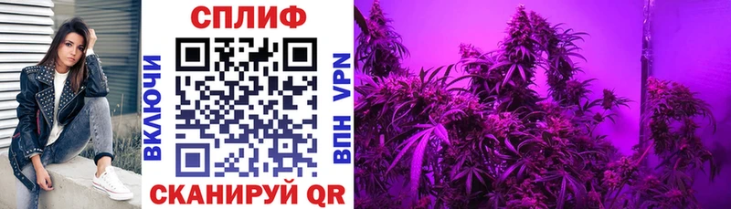 kraken ТОР Бугуруслан Каннабис VHQ